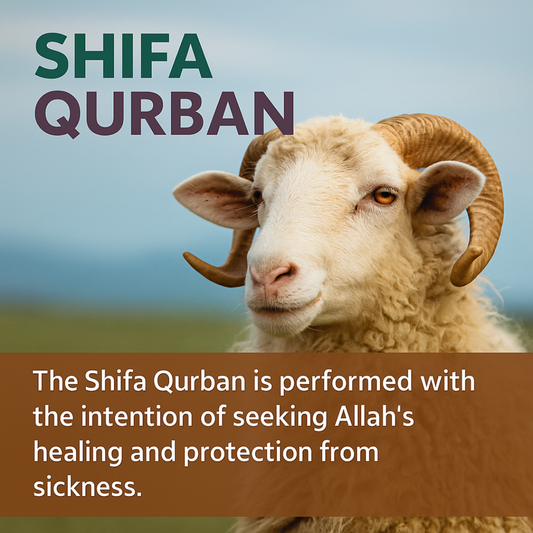 Shifa Qurban