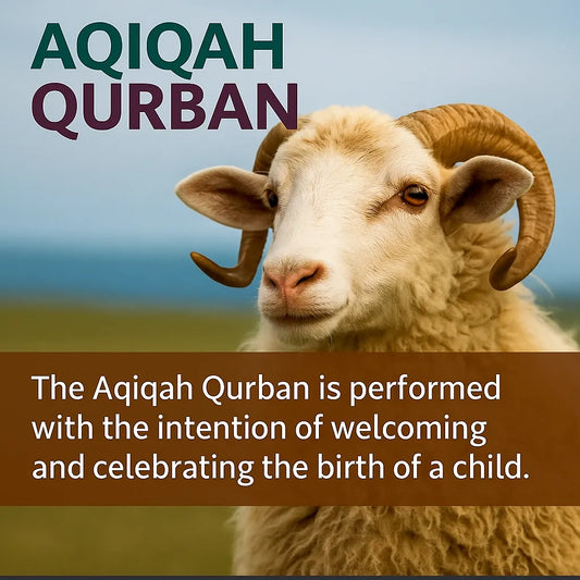 Aqiqah Qurban